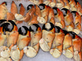 Florida stone crab claws