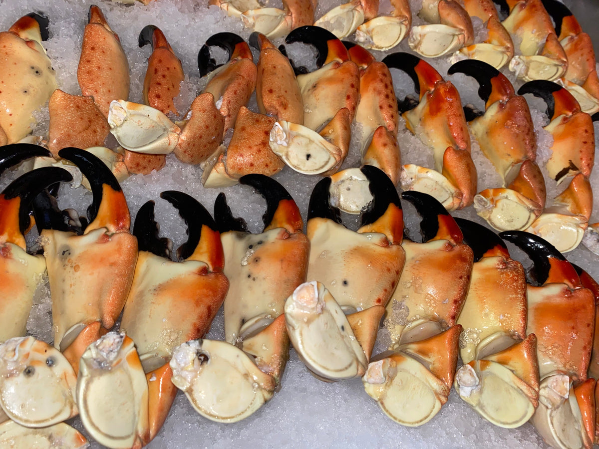 Florida stone crab claws