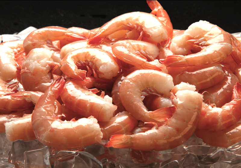 Key West Pink Shrimp
